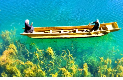 Panoramic tour of Yunnan<half price of group fee+complime
